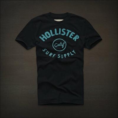 Hollister Men Shirts-387